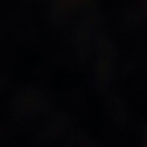 Meet your Posher, Maya